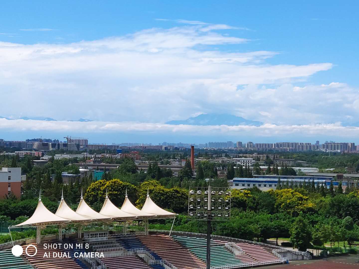 读书成信大，悠然见远山